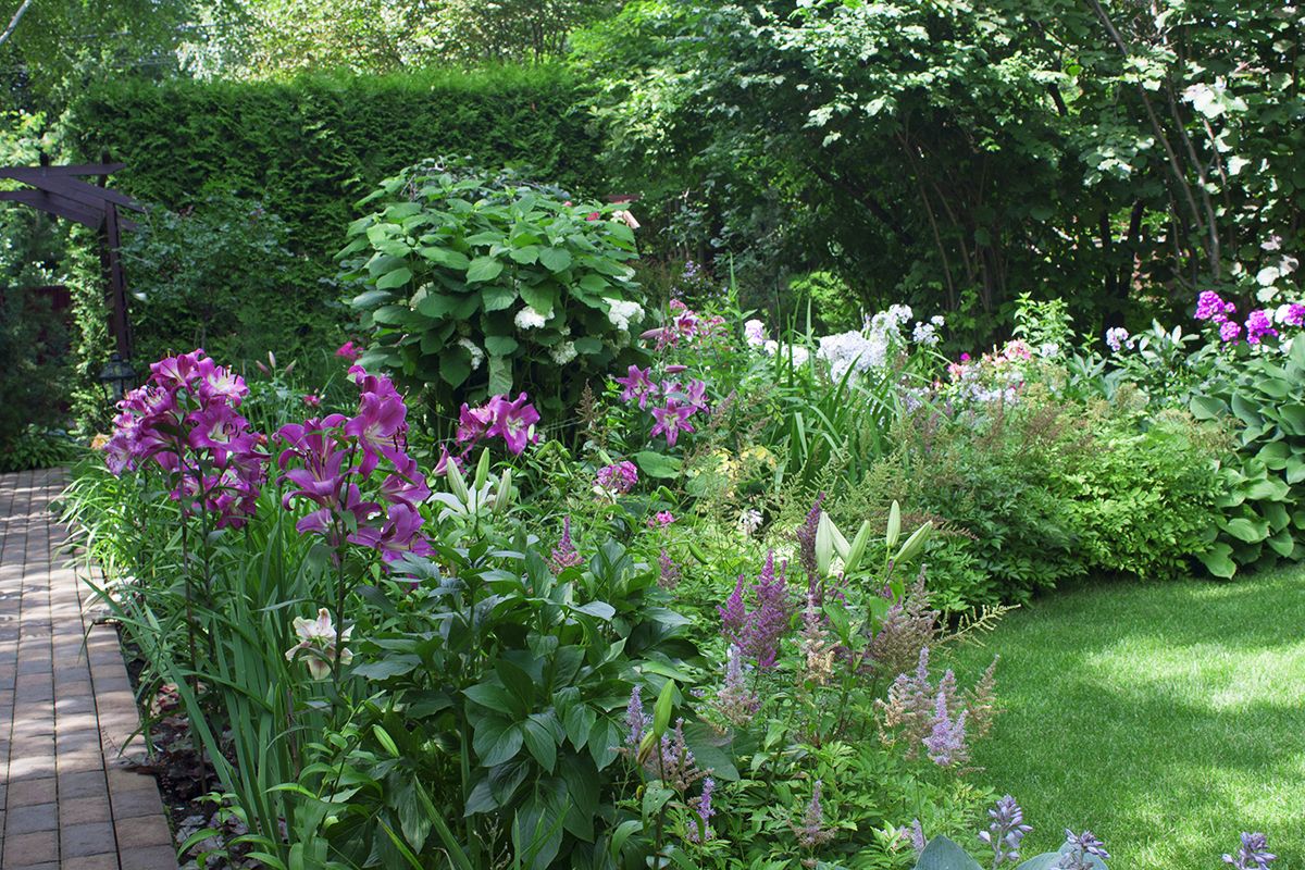 Проект Горки 2